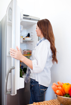 Refrigerator Basics
